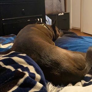 Meet your Posher, Dc